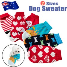 Haustier Welpe Hund Katze