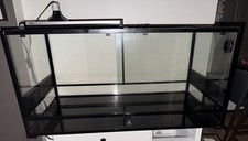 Reptile terrarium - reptile,