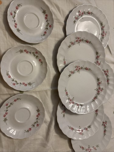 Blumen teller winterling - blumen,