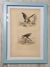 1852 Lithographie Kunstdruck