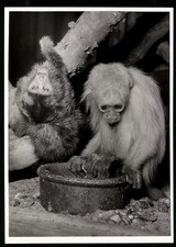 Fotografie Bon-Foto