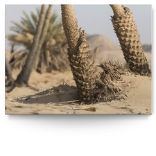 Panorama Landschaftsbild als