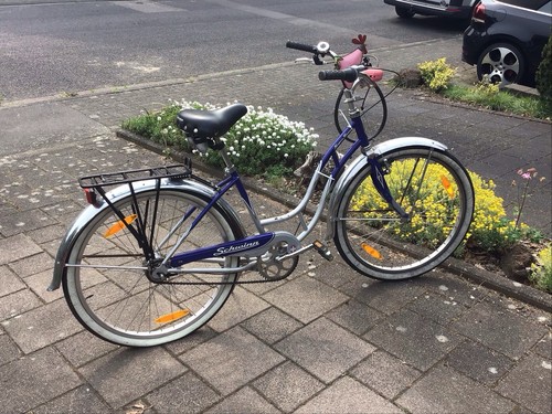 Schwinn cruiser - schwinn,