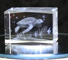 3D Glas Schildkröte  Neu Made in Germany