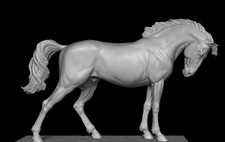 Edle Mustang Stute von