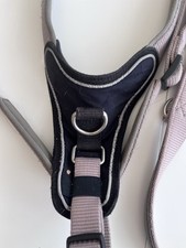 Wolters Professional Comfort Hundegeschirr Gr. 5 Plus Leine Gr.xl In Champagner