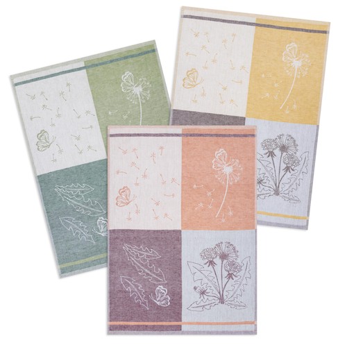 Kracht 3er pack - kracht,