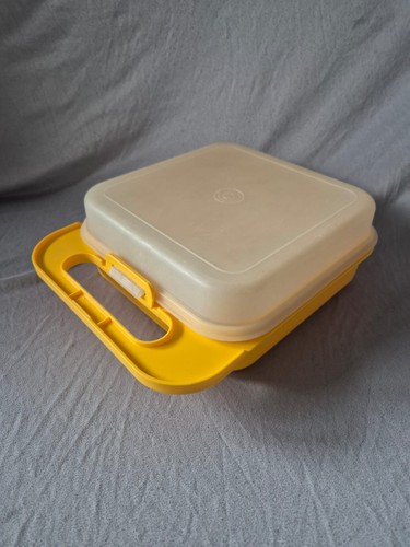 Tupperware lunch picknick - lunch,