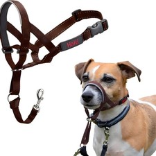 Halti optifit kopfgeschirr - halti,