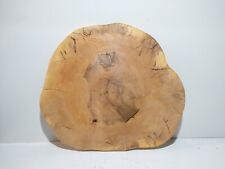 Groß, Baumscheibe, Holzdeko