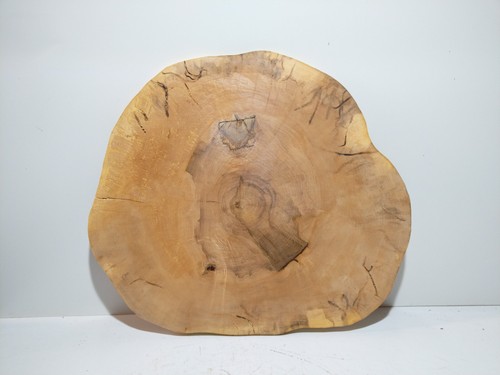 Groß baumscheibe holzdeko - groß,,
