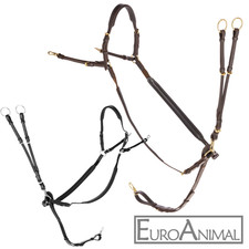 Vorderzeug mit Martingal