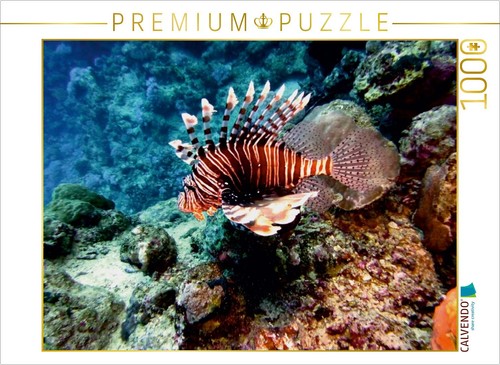 Calvendo puzzle rotfeuerfisch - calvendo,