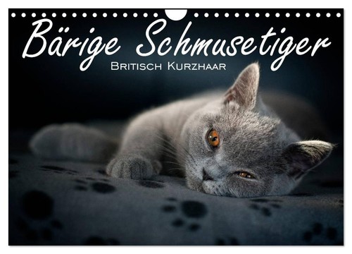 Bärige schmusetiger - schmusetiger,