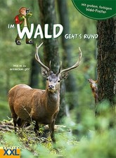 Im Wald geht's rund - mit großem, farbigem Poster: Was es zu entdecken gibt