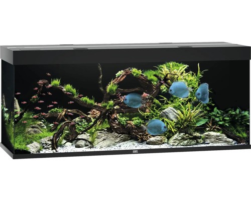 Aquarium juwel rio 450 mit - aquarium,