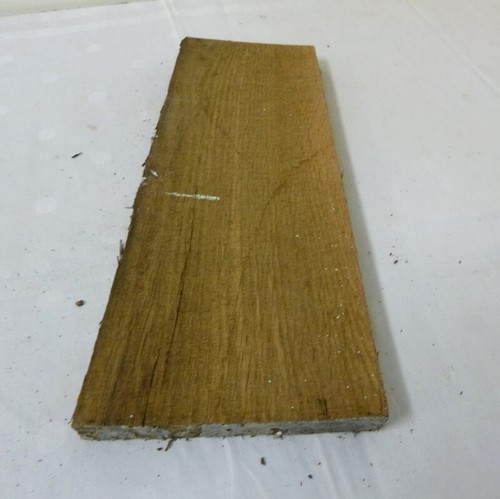 Mooreiche 2000 moorholz - mooreiche, jh.