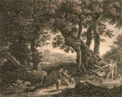 Johann christian reinhart - johann,