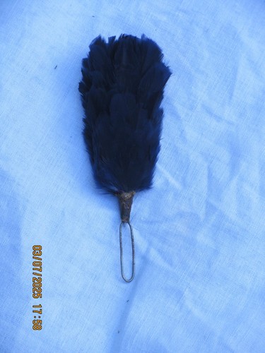 Blue hackle royal regiment - royal,