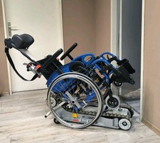 Treppensteiger Treppenraupe