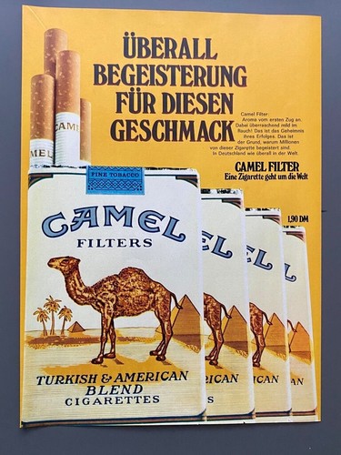 Camel filters begeisterung - camel,