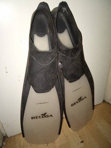 Taucher schwimmer flossen - schwimmer,