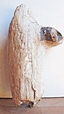 Treibholz Schwemmholz 1 knorrige  Skulptur , Garten, Basteln,Deko DIY 280