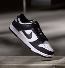 Nike Dunk Low Retro Panda Gr