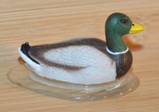 Schleich 13727 Erpel Ente schwimmend /Bauernhoftiere/ Schleich Tiere
