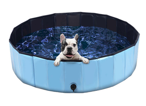 Hundepool schwimmbecken - hundepool,