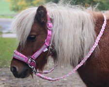 Strass SHETTY Trense REITHALFTER ZÜGEL  Shetland Pony Sidepull gebisslos