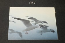 TAPETENBUCH Sky Tapetenmuster Muster Bastelpapier Papier Papiere kreativ Hobby