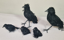 Deko Halloween 5 Stück schwarze Raben Krähen echte Federn  Vogel Horror