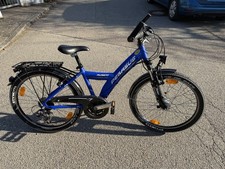 pegasus avanti 24 zoll 21