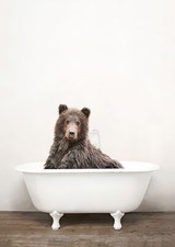 Poster Bär Braunbär in der