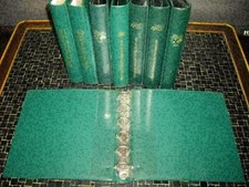 Borek Ringbinder, grün, 8 Stk. mit Aufdruck Fußball + Umwelthilfe