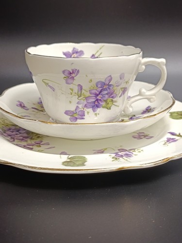 Hammersley victorian violets - hammersley,