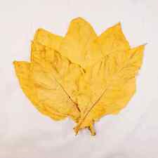 Virginia Gold Klasse 1 Tabakblätter Rohtabak Blätter Duft & Deko 