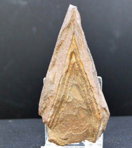 Tsesite gramm sahara - 90,