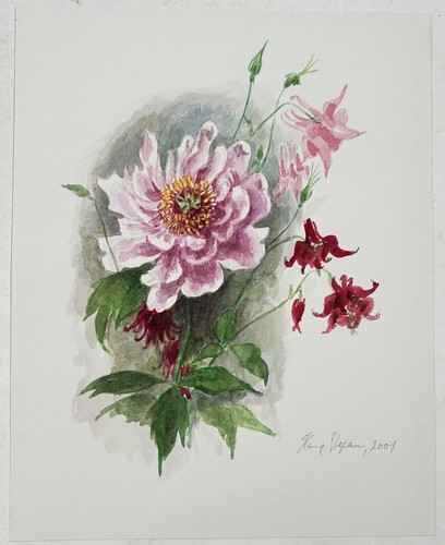 Pfingstrosen blumen stillleben - pfingstrosen,