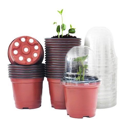 Anzuchttöpfe 10cm set - 10cm, 50