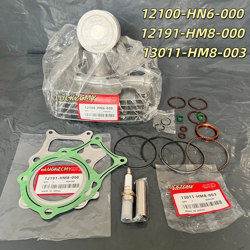 For honda trx250 - 02-19,