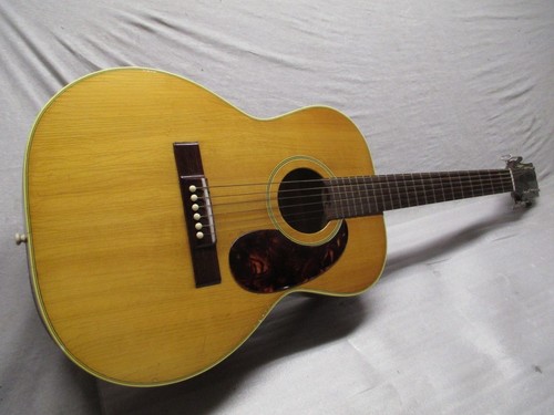 Hagstrom 11 folk - 60's, steel