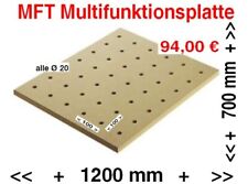 120 cm x 70 cm Lochplatte MFT