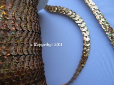 72 M = 1 Rolle Paillettenband