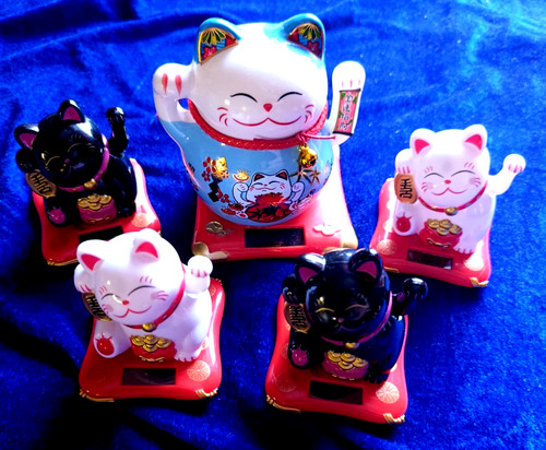 Minkaklecks winkekatze - ,