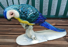 Hertwig Katzhütte Papagei Ara groß