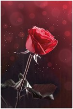 Wallario Premium Glasbild