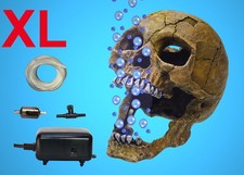 TOP Aquarium Deko sprudelnder 🐠20cm !! TOTENKOPF ✚ LUFTPUMPE 🐠 ✚ Zubehör