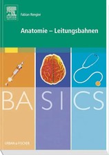 BASICS Anatomie -